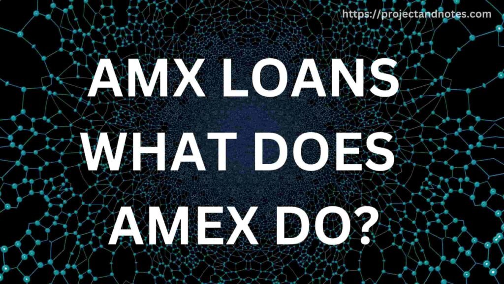 AMX LOANS-WHAT DOES AMEX DO?