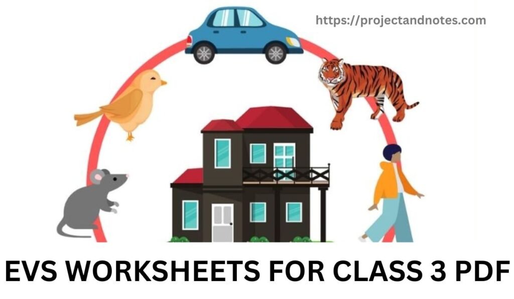 EVS WORKSHEETS FOR CLASS 3 PDF|How do you solve the EVS worksheets for class 3?