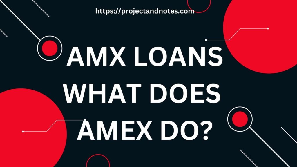 AMX LOANS-WHAT DOES AMEX DO?