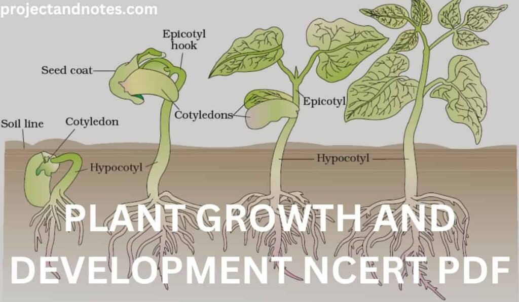 PLANT GROWTH AND DEVELOPMENT NCERT PDF